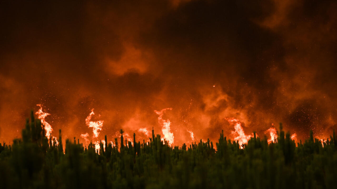 Wild Fire Events – Creating Unforgettable Kids’ Experiences