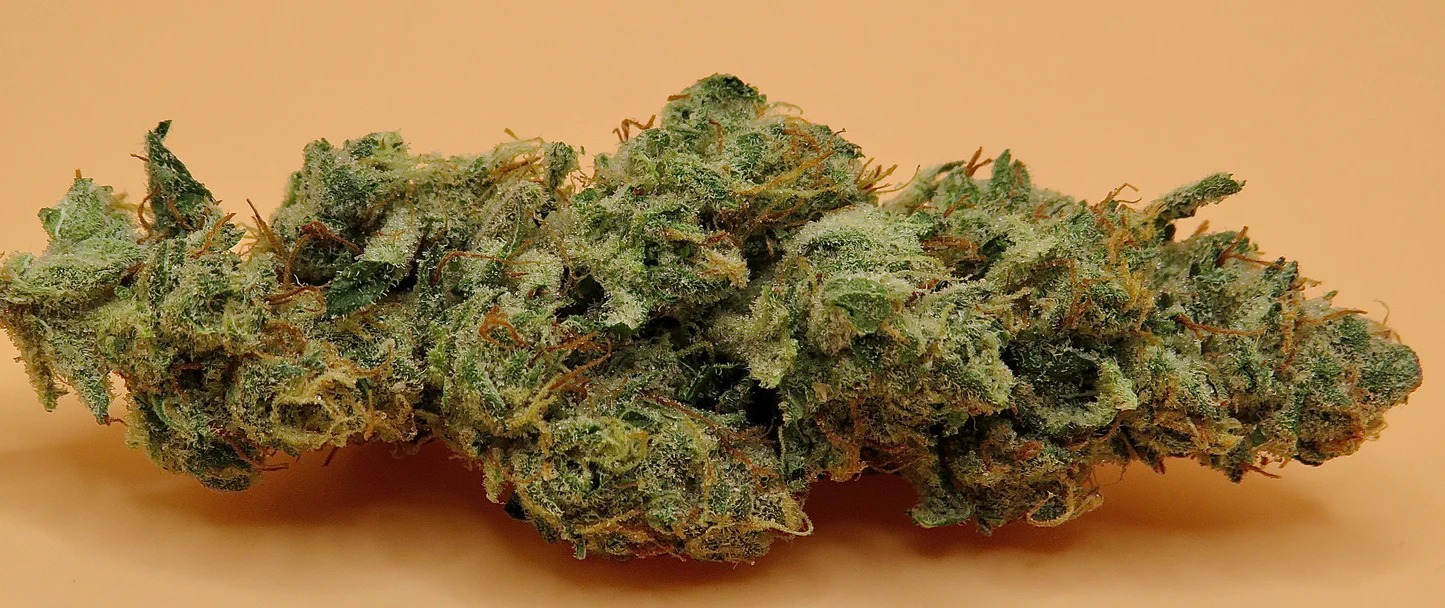 Mandarin Cookies Strain – Exclusive Cannabis Strains at Bud Cargo