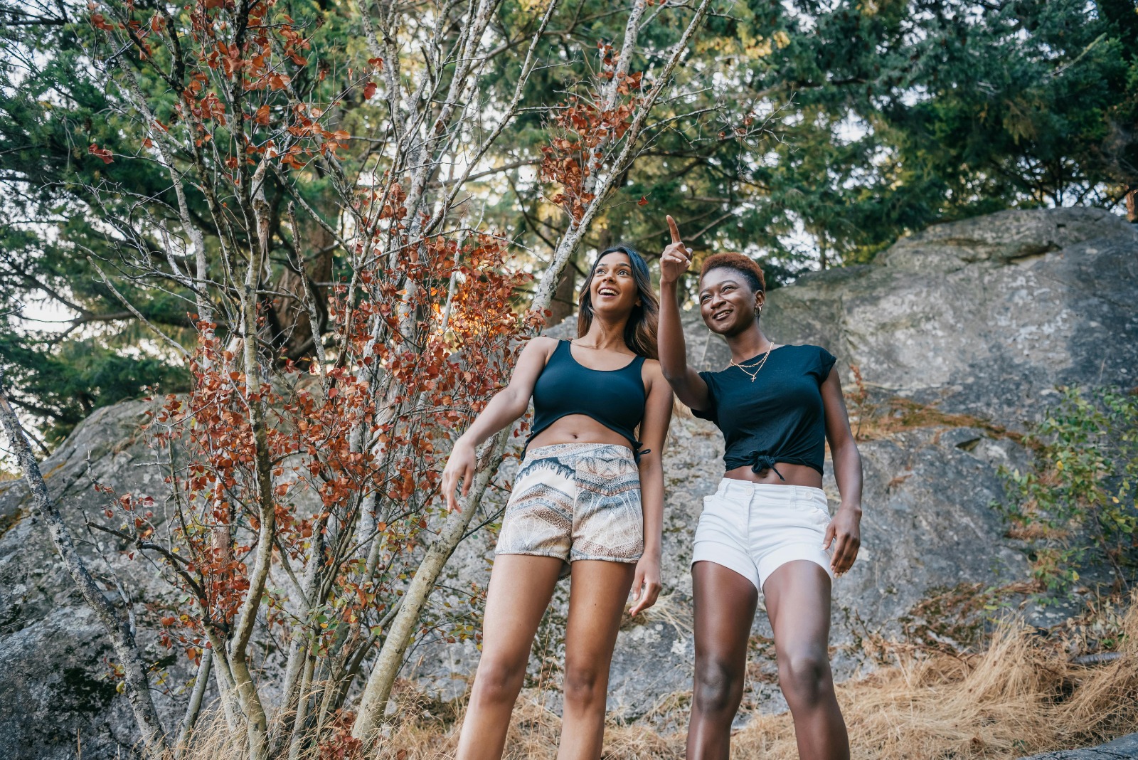 Cool Hiking Trails: Explore Nature Like Never Before