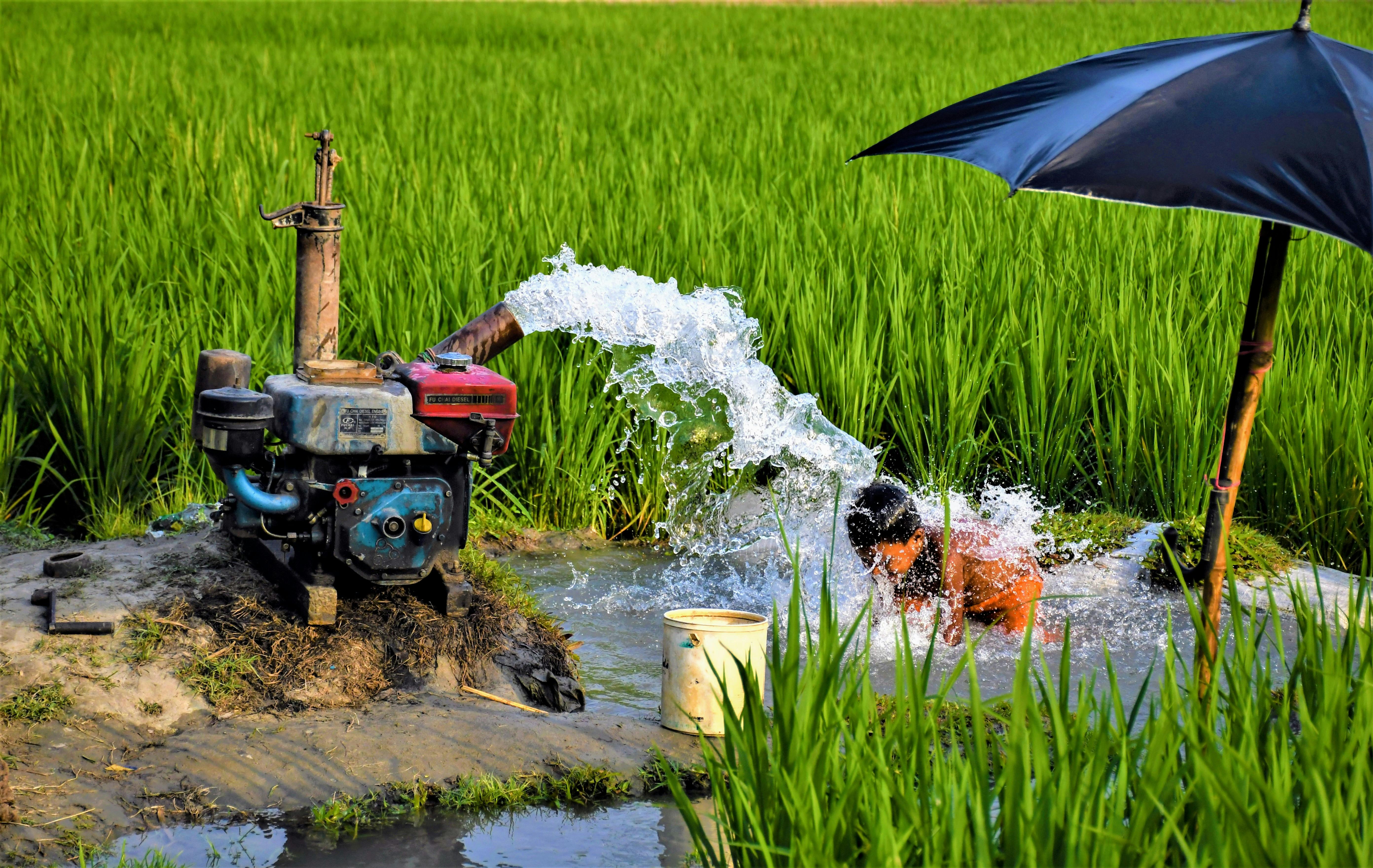 EXPERT TIPS FROM PROFESSIONAL IRRIGATION SERVICES IN ARLINGTON, TX