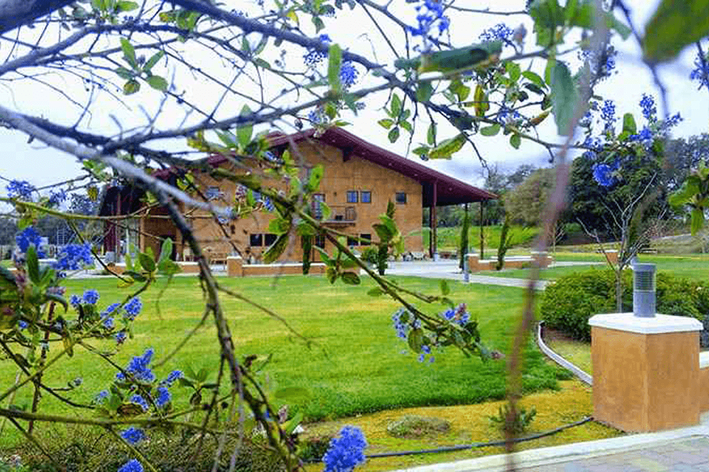 Exploring Clarksburg California: Scenic Views, Wineries, and More