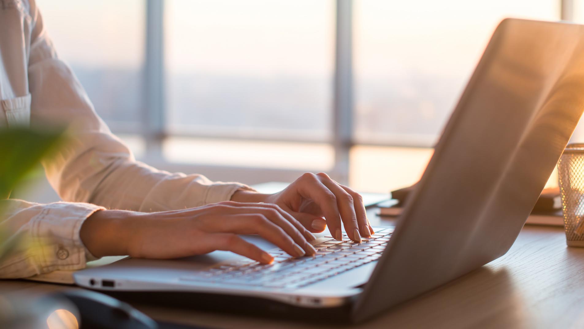 EDV Dienstleistungen: Professionelle Betreuung Ihrer IT-Landschaft