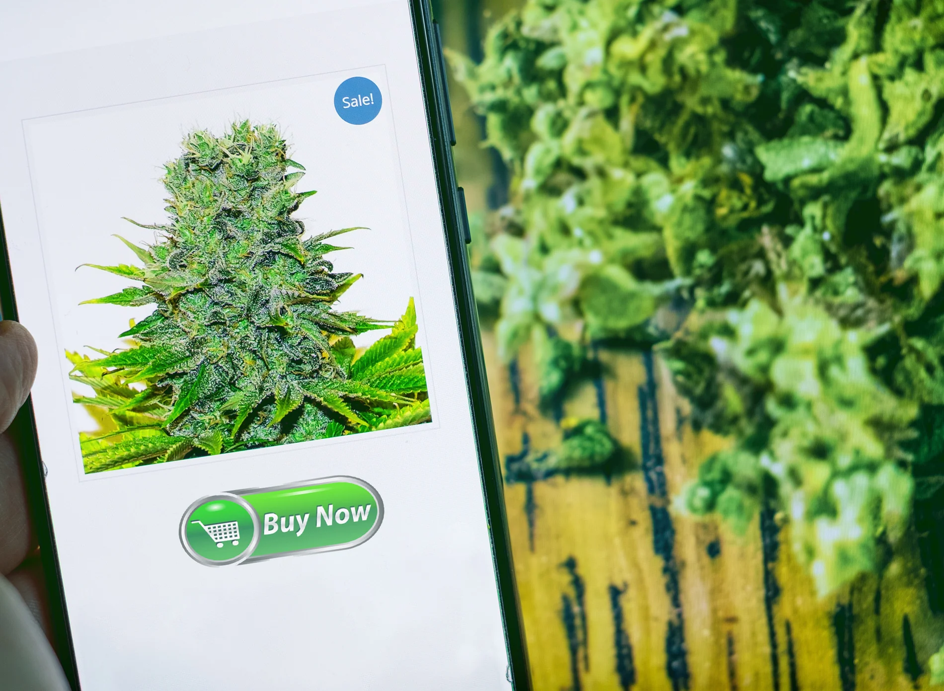 HOW TECHNOLOGY IS SHAPING THE FUTURE OF CANNABIS DELIVERY