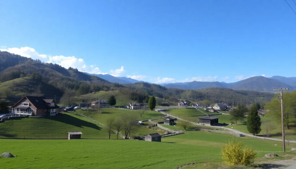 葉酸サプリ おすすめのパッケージとサプリメントが整然と並ぶ、優しい雰囲気の画像。