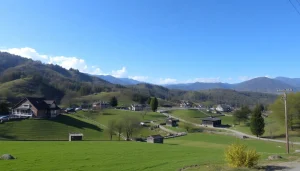 葉酸サプリ おすすめのパッケージとサプリメントが整然と並ぶ、優しい雰囲気の画像。